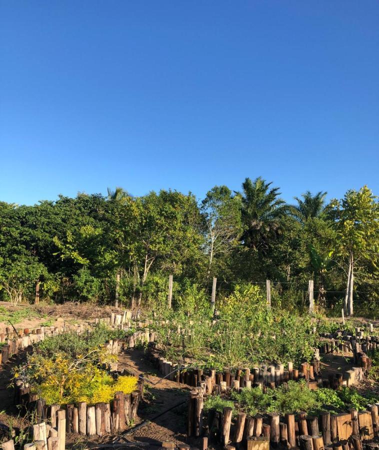 Pousada Flor Do Rio การาอิวา ภายนอก รูปภาพ